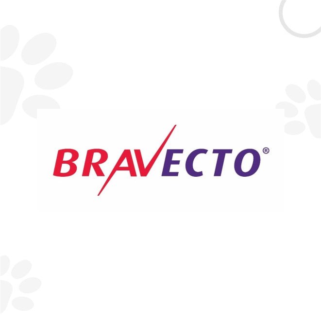 Bravecto | Petzzing