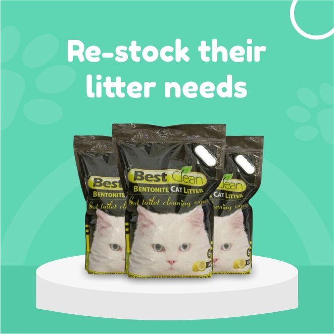 Cat Litter Supplies | Petzzing