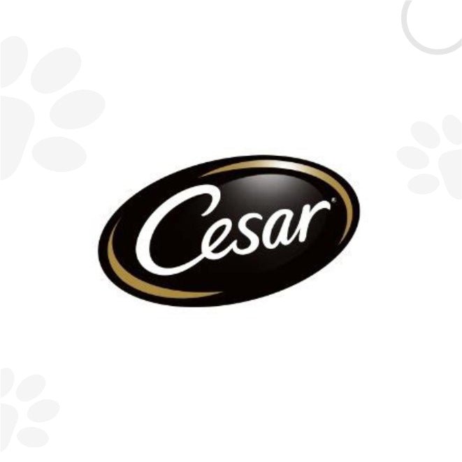 Cesar | Petzzing