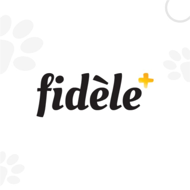 Fidele Plus | Petzzing