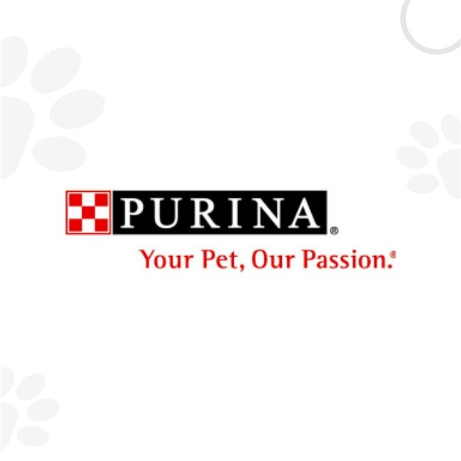 Purina | Petzzing