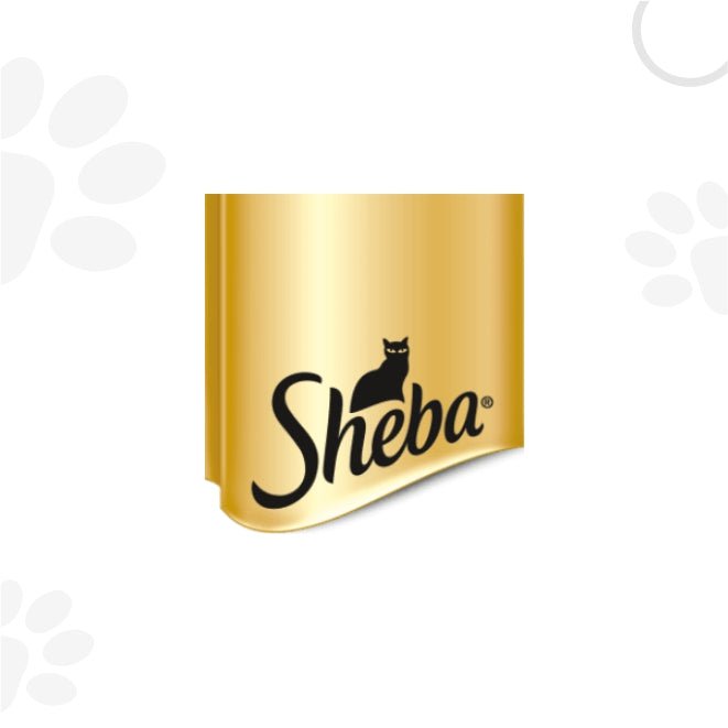 Sheba | Petzzing