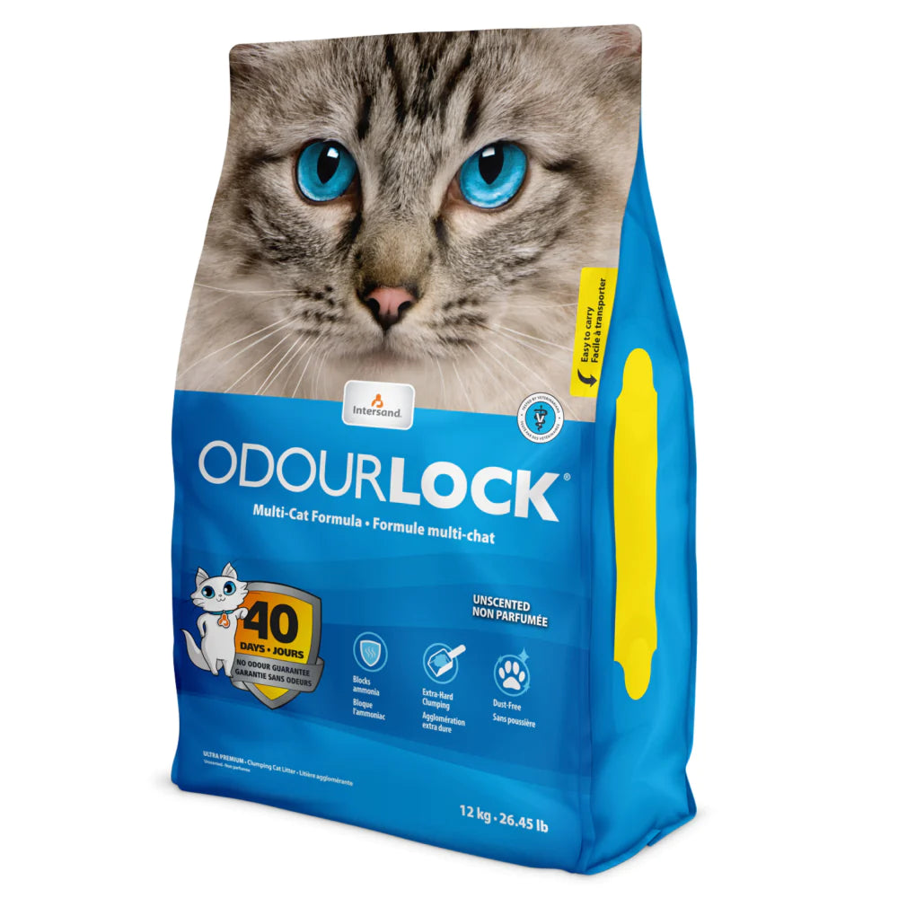Intersand Unscented OdourLock Cat Litter