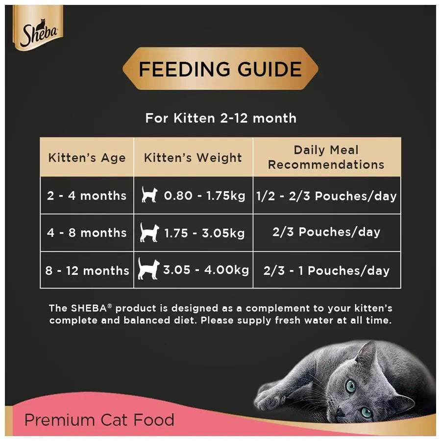 Sheba Premium Wet Cat Food - Chicken Loaf for Kittens (70g x 12 Pouches)