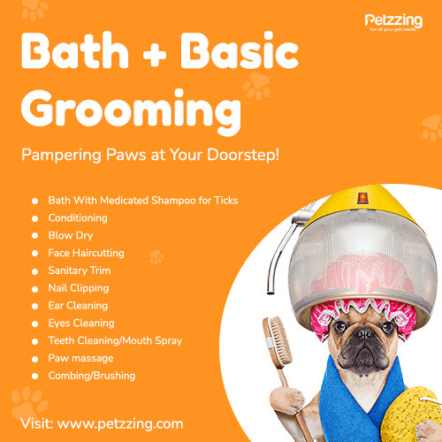 Bath + Basic Grooming