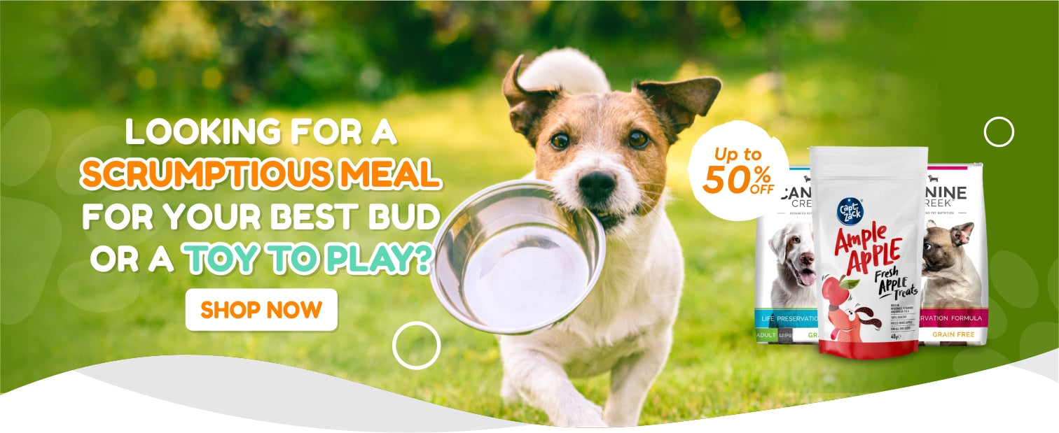 Buy dog wet food, dry food, treats and grooming supplies