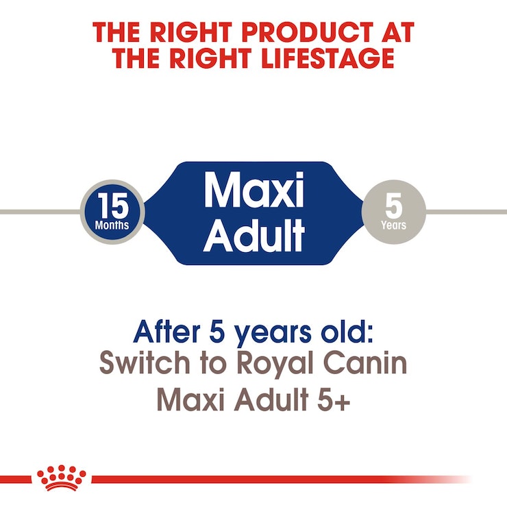 RC Maxi Adult 1kg