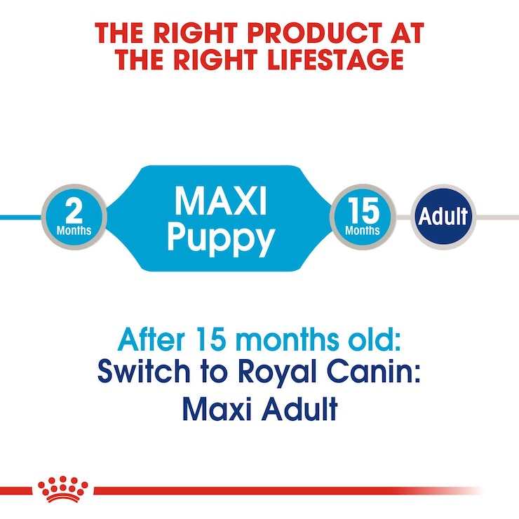 Royal canin Maxi Puppy pouch pack of 12