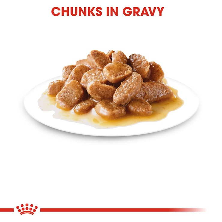 Royal Canin Mini Gravy Adult Dog Food, Meat Flavor, Pouch (Pack of 12)