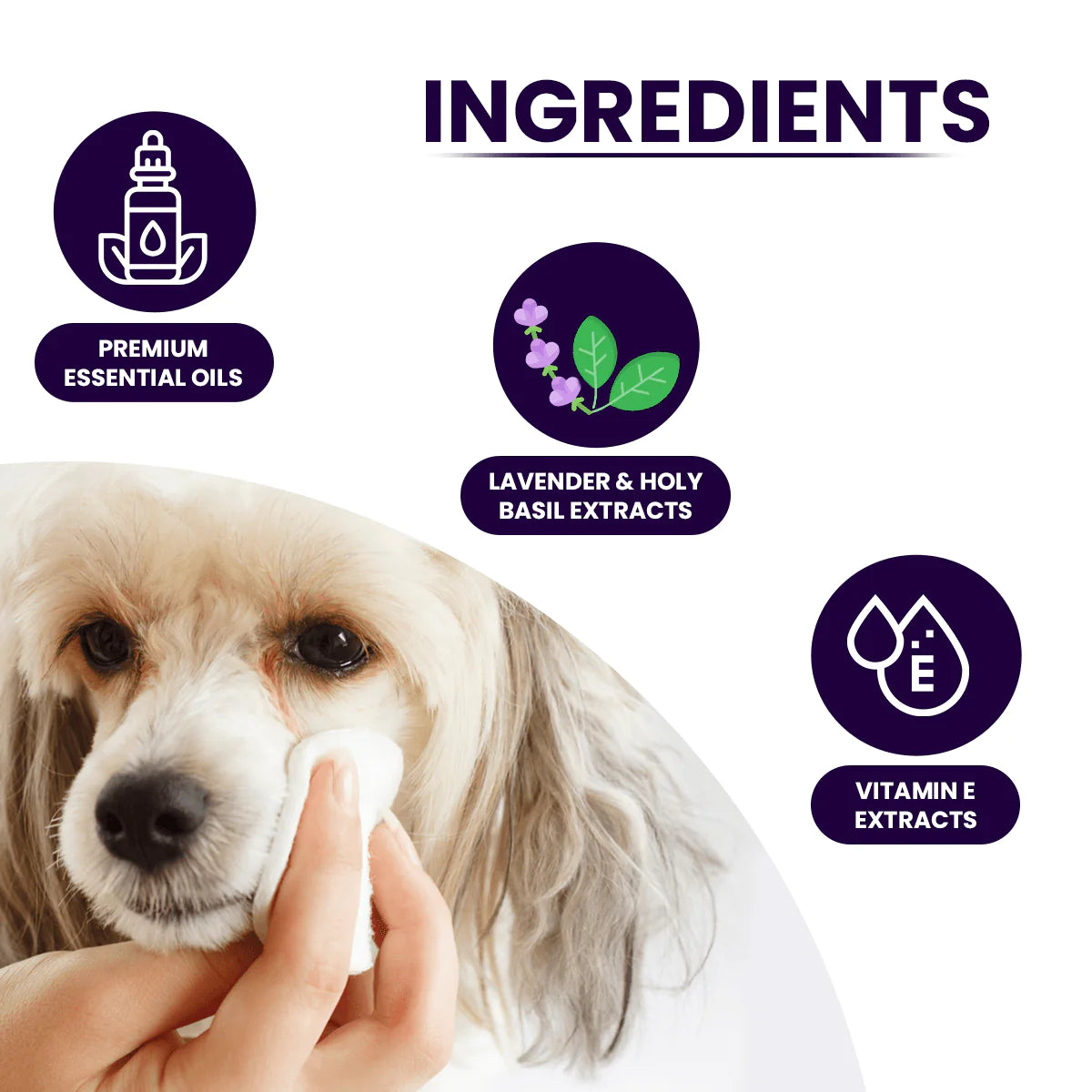 TopDog Premium Pet Sanitizing Wipes -  Lavender, 80 Pulls