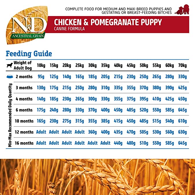 Farmina N & D Chicken & Pomogranate Ancestral Grain Med Maxi Puppy