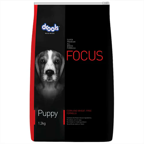 Drools Focus Puppy