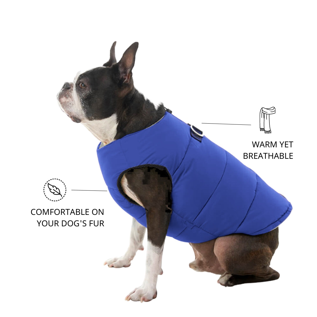 Zoomiez Ultimate Dog Jacket With Built in Harness - Blue
