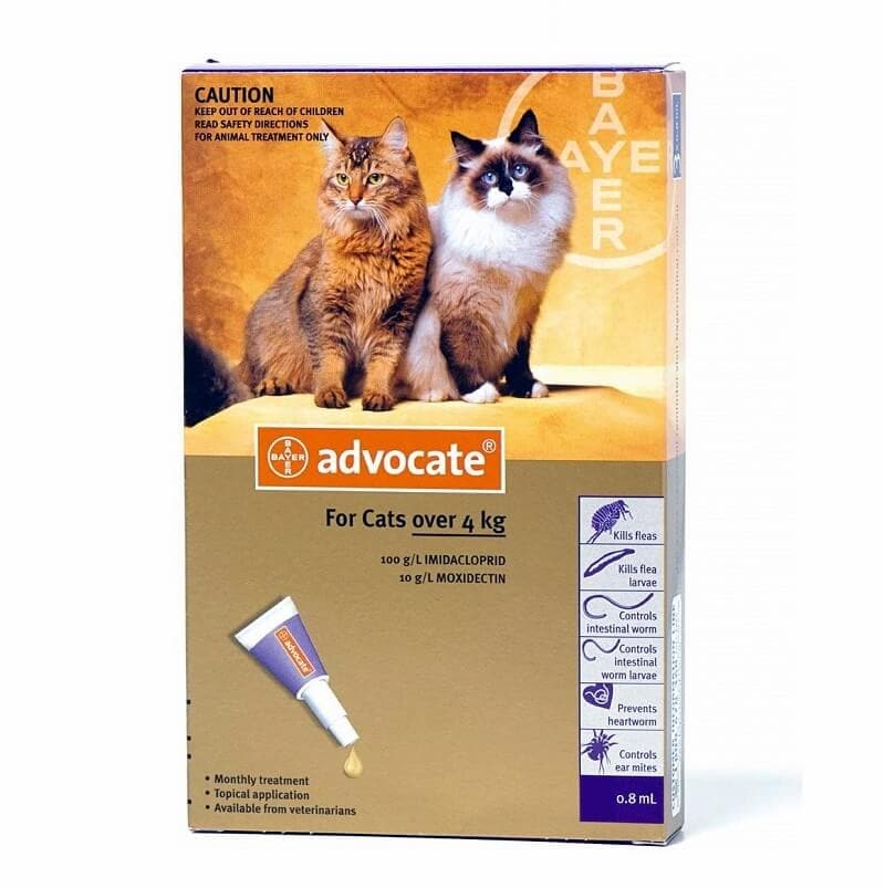 Advocate Spot on for Cat 0.8ml