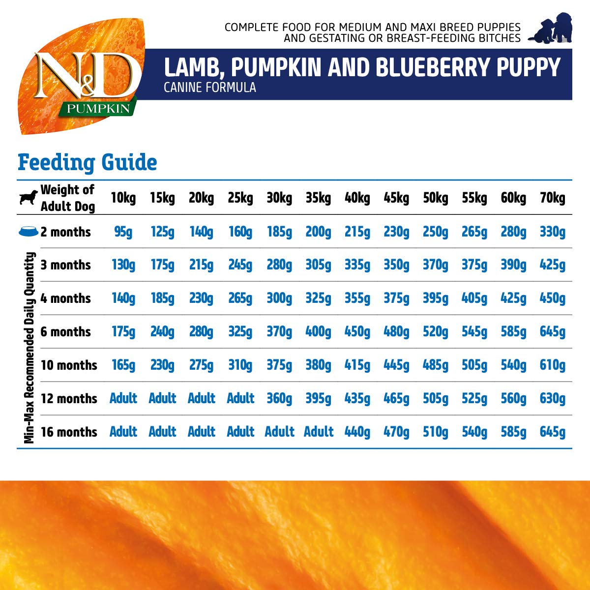 Farmina N & D Lamb & Blueberry Pumpkin Med Maxi Puppy - Petzzing