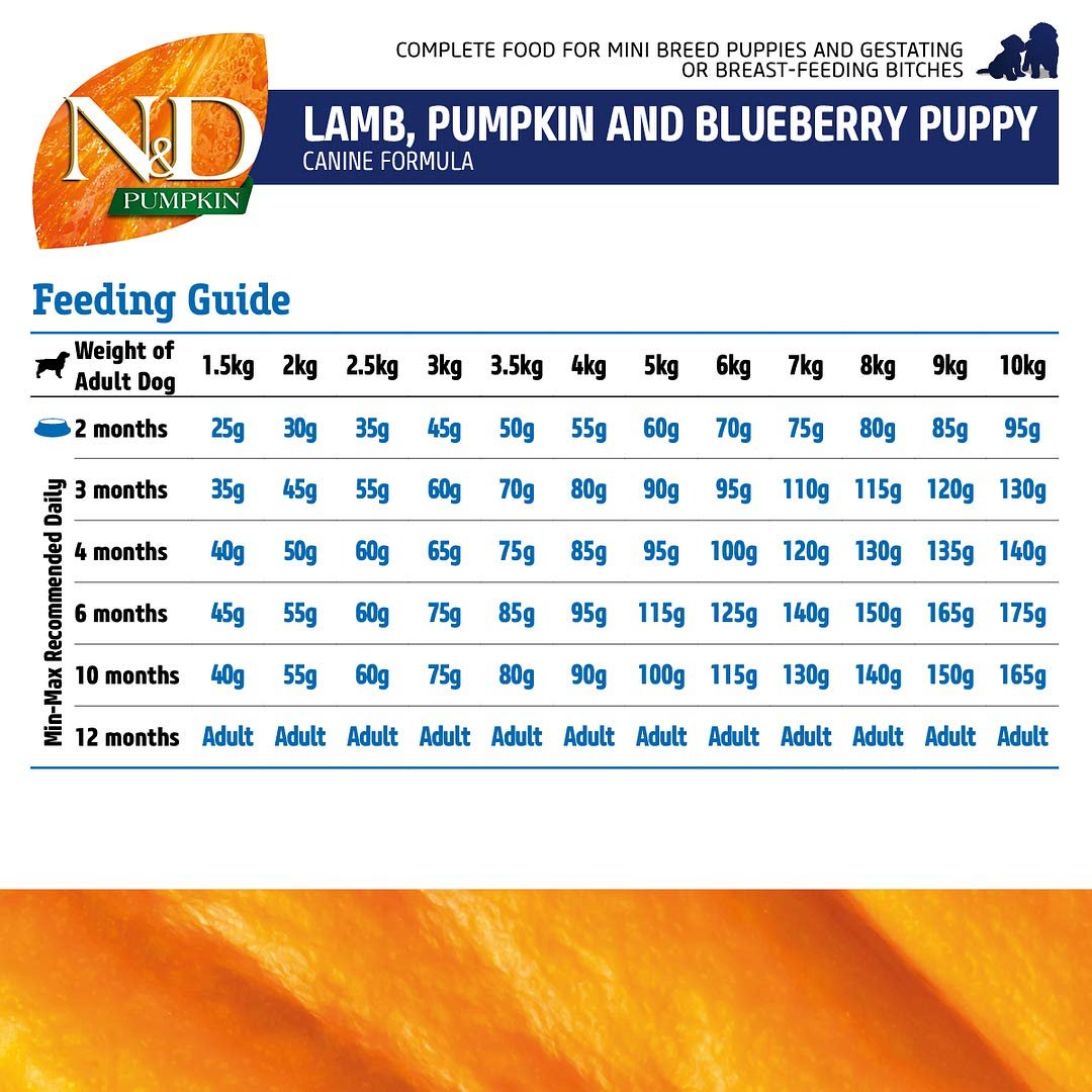 Farmina N & D Lamb & Blueberry Pumpkin Mini Puppy - Petzzing